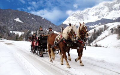 Ein besonderes Wintererlebnis