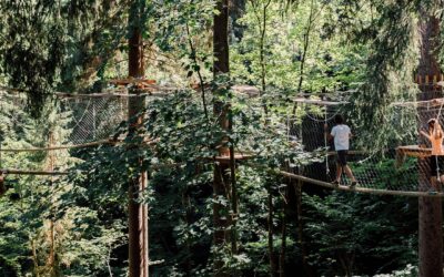 Jody´s Baumparcours